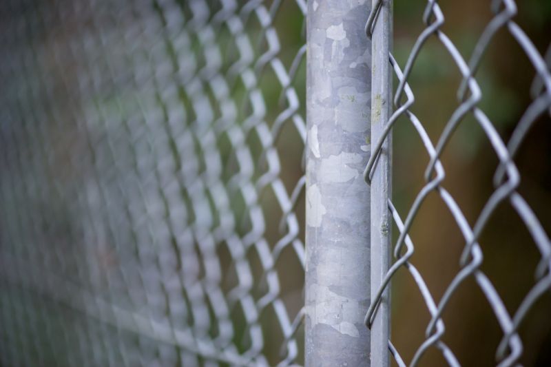 Chain Link Fence